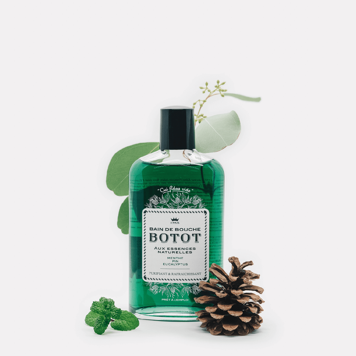 Botot 1755 Concentrated Mouthwash - Mint, Pine & Eucalyptus 250ml