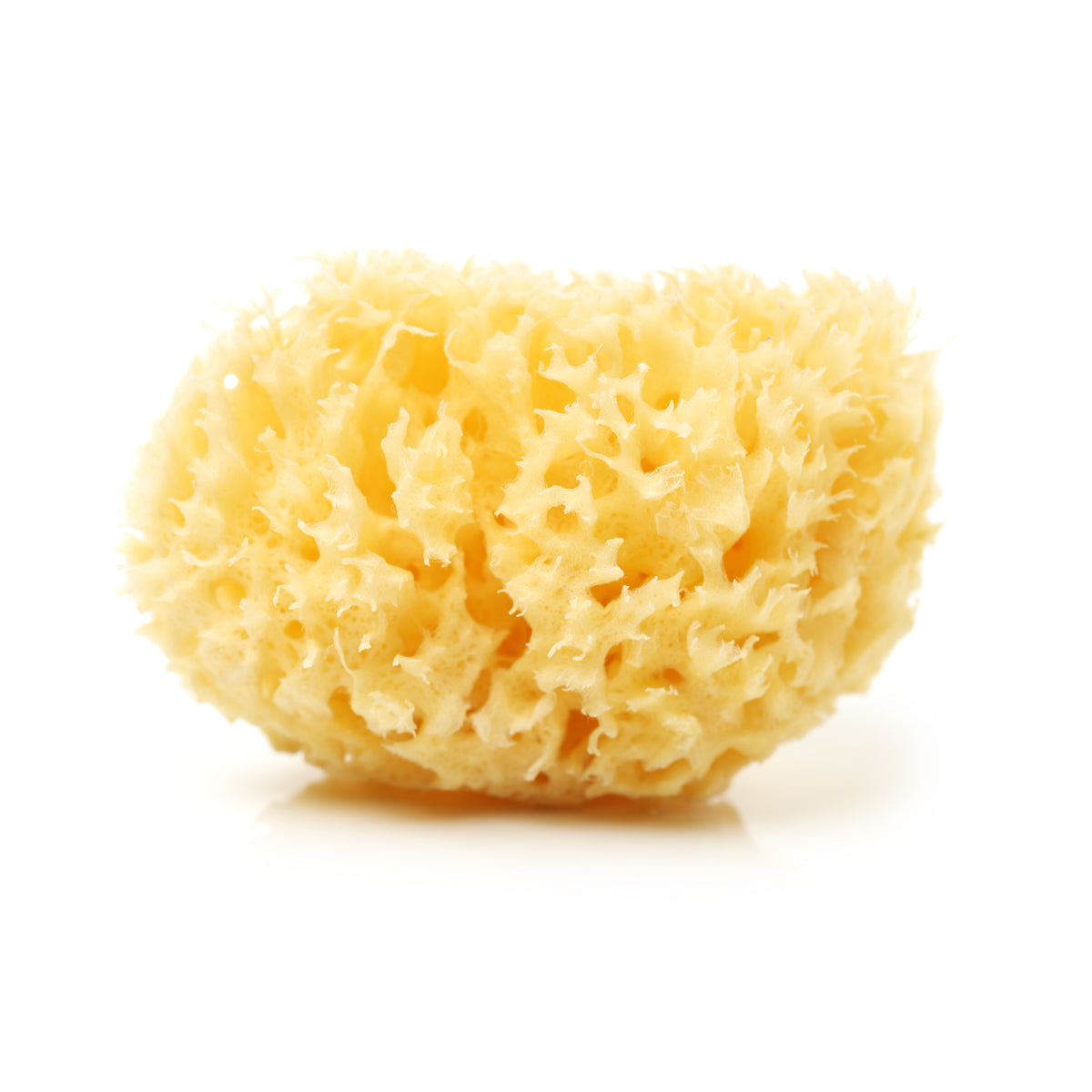 Riffi Natural Sea Sponge No. 3926/3904